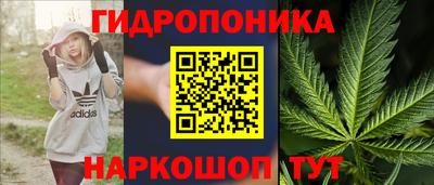 тгк Тара