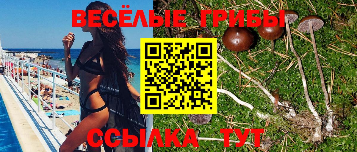 Новотроицк  Галлюциногенные грибы Psilocybine cubensis  наркошоп  Вход с VPN 